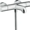 Hansgrohe Ecostat 1001CL Badthermostaat - Chroom