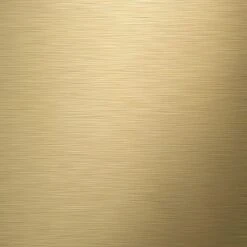 Tiger Tune - Toiletrolhouder Met Klep - Messing Geborsteld / Zwart -Badkamerproducten 1200x1200 247