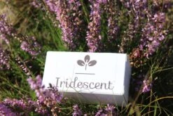 Iridescent Douchekop LED Verlichting – Waterbesparende Douchekop – Hoge Druk Transparant 14 Iridescent Douchekop LED Verlichting – Waterbesparende Douchekop – Hoge Druk Transparant -Badkamerproducten 1200x800 37