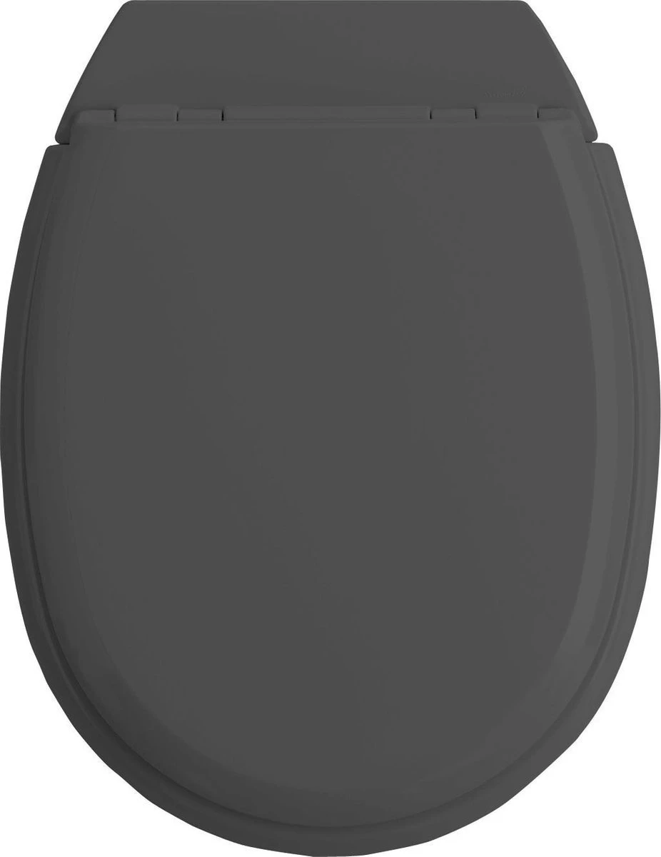 Allibert Wc-bril ATLAS - Geperst Hout - Afklikbaar - Met Regelplaat - Anthraciet Grijs Gelakt 1 Allibert Wc-bril ATLAS - Geperst Hout - Afklikbaar - Met Regelplaat - Anthraciet Grijs Gelakt